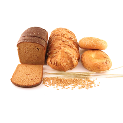 Bakery