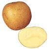 Maris Piper Potatoes