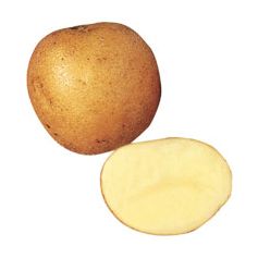 Maris Piper Potatoes