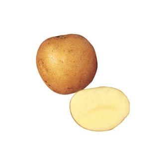 Maris Piper Potatoes