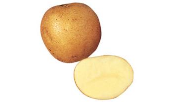 Maris Piper Potatoes