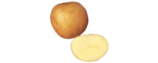 Maris Piper Potatoes