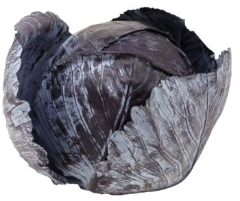 Red Cabbage
