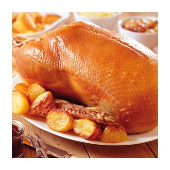 Free range goose