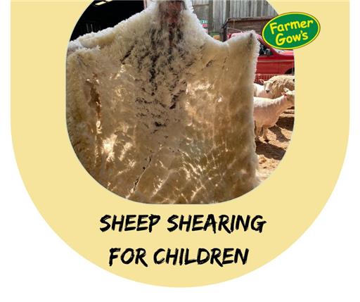 Sheep Shearing - Children - Sat 16 Jul