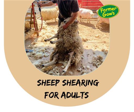Sheep Shearing - Adults - Sat 16 Jul