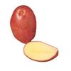 Desiree Potatoes