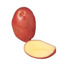 Desiree Potatoes