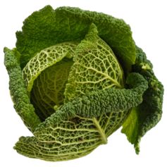 Savoy Cabbage