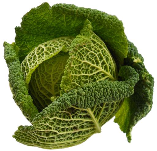 Savoy Cabbage