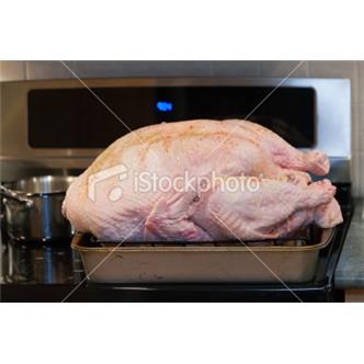 Christmas turkey