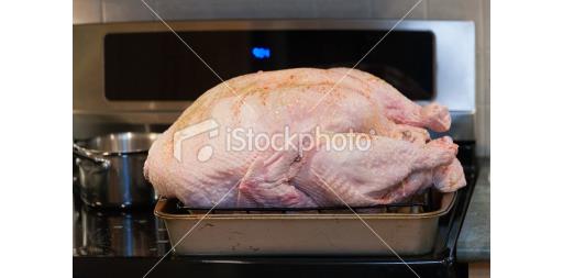Christmas turkey