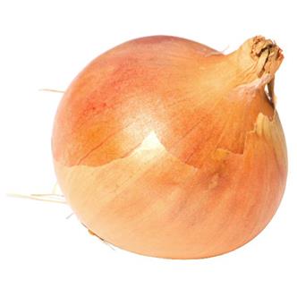 Spanish's Onions