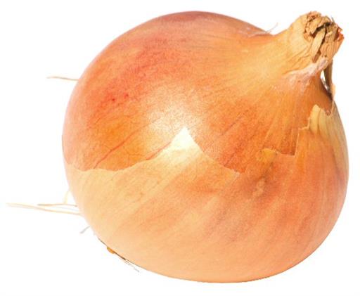 Spanish's Onions
